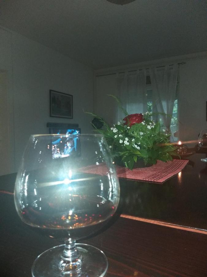 Apartman Nv Apartment Vrnjacka Banja Luaran gambar
