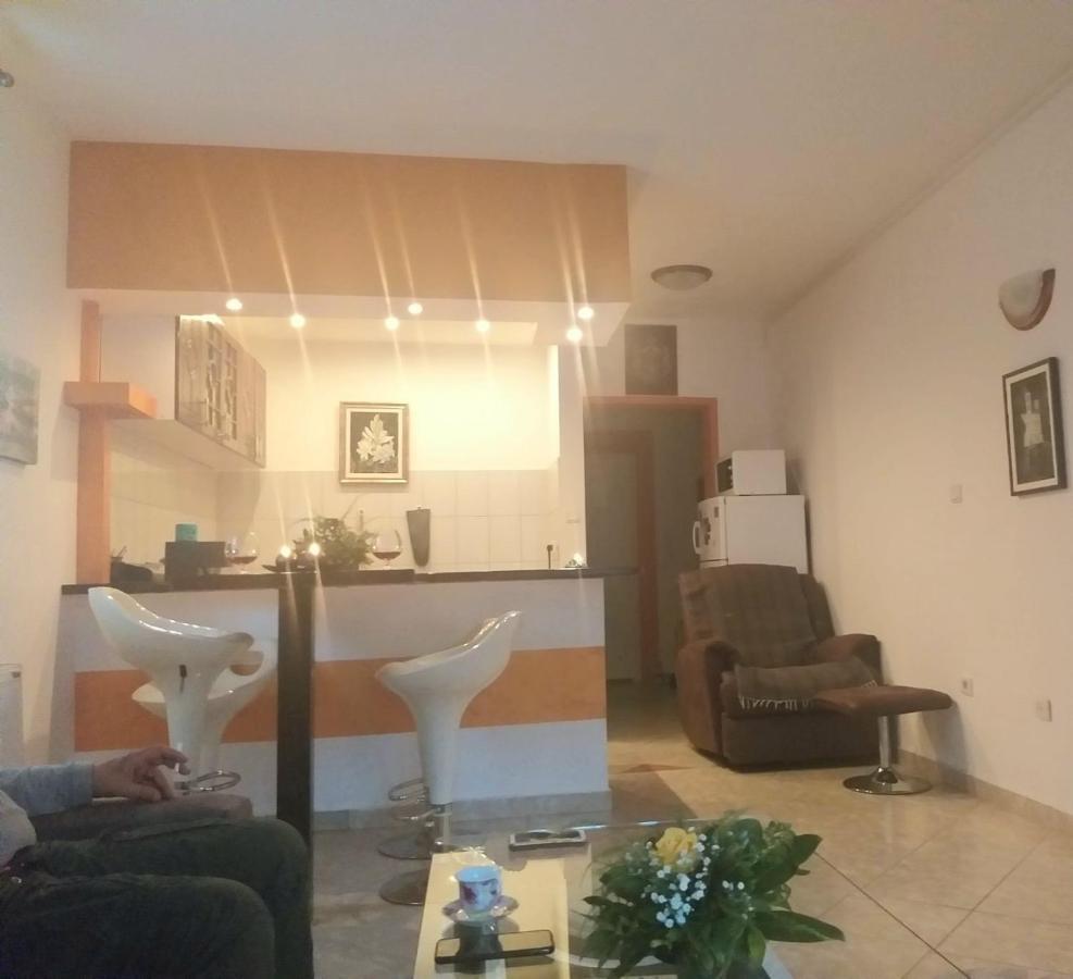 Apartman Nv Apartment Vrnjacka Banja Luaran gambar