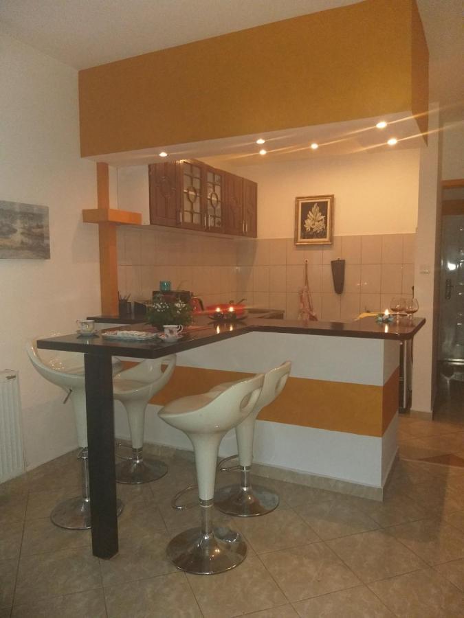 Apartman Nv Apartment Vrnjacka Banja Luaran gambar
