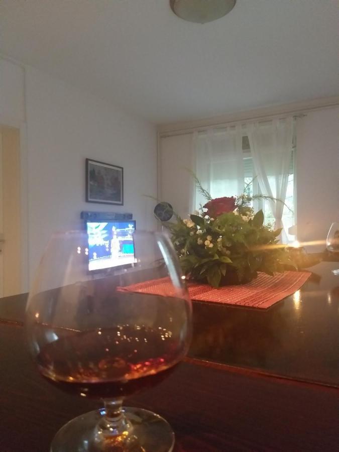 Apartman Nv Apartment Vrnjacka Banja Luaran gambar
