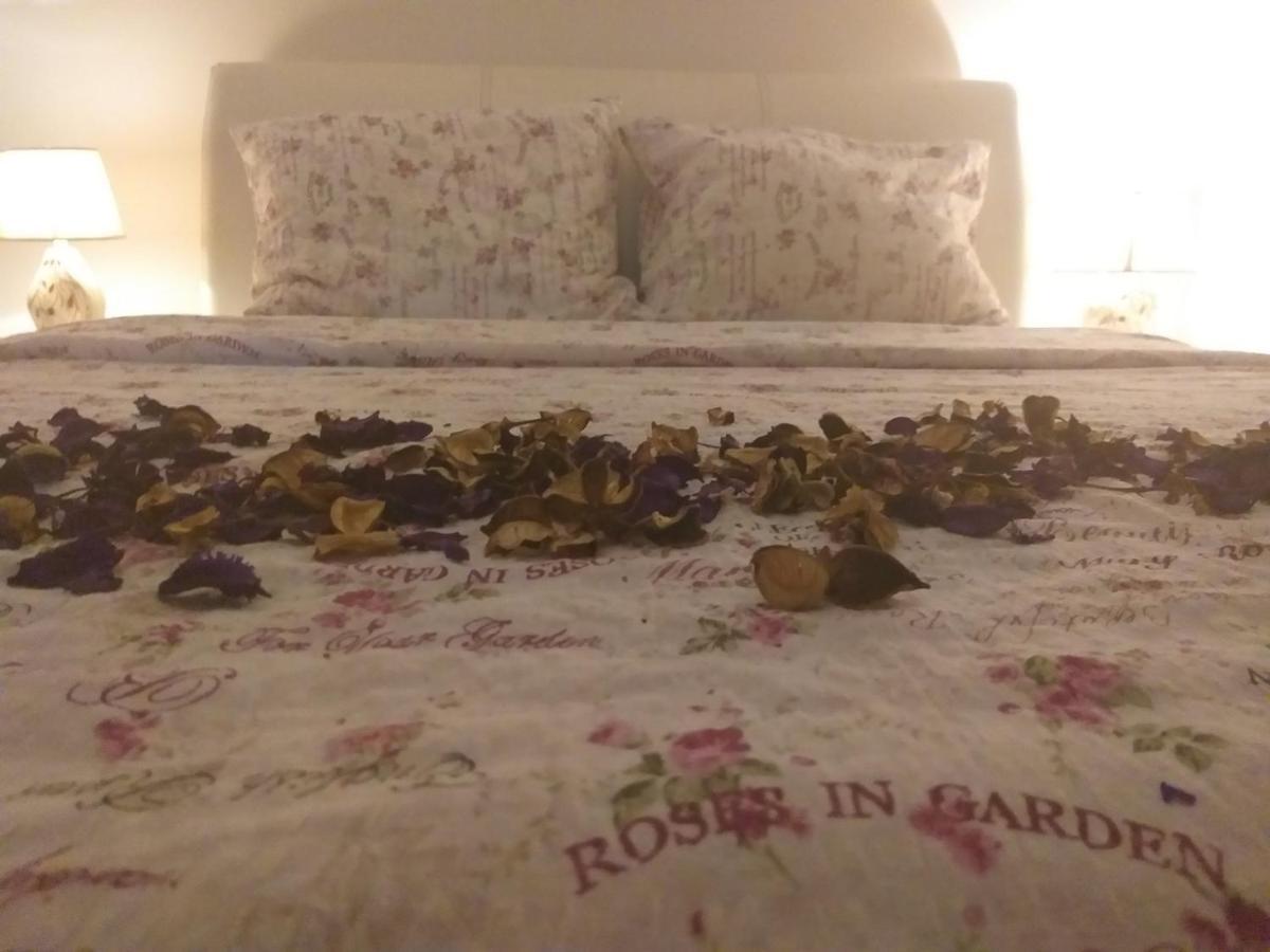Apartman Nv Apartment Vrnjacka Banja Luaran gambar