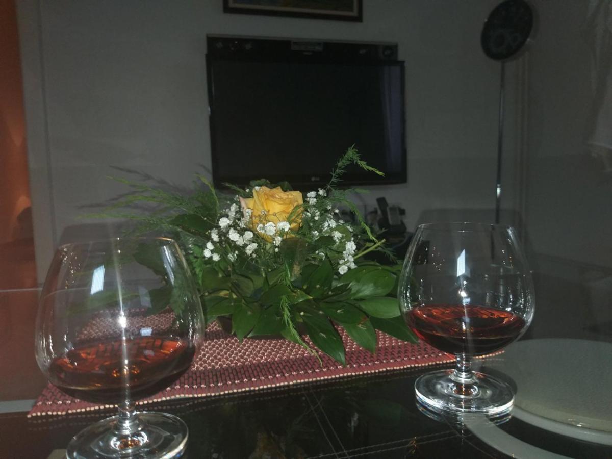 Apartman Nv Apartment Vrnjacka Banja Luaran gambar