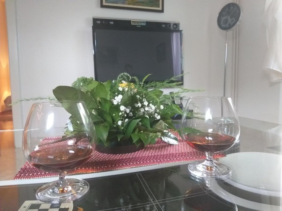 Apartman Nv Apartment Vrnjacka Banja Luaran gambar